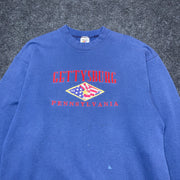 Blue Pennsylvania Jumper  Men's Large