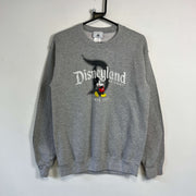 Grey Disneyland Sweatshirt Small