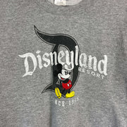 Grey Disneyland Sweatshirt Small