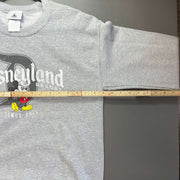 Grey Disneyland Sweatshirt Small